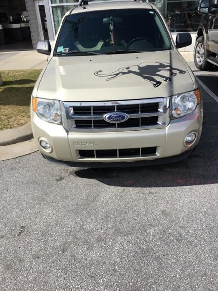 2011 Ford Escape XLT