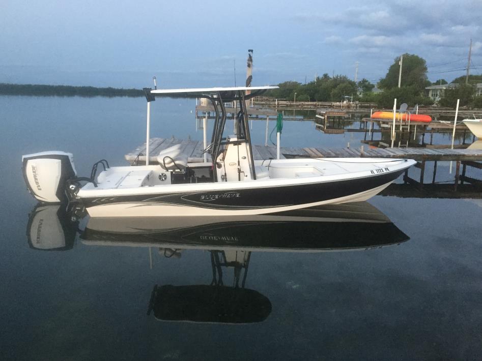 2015 Blue Wave 2200 Pure Bay