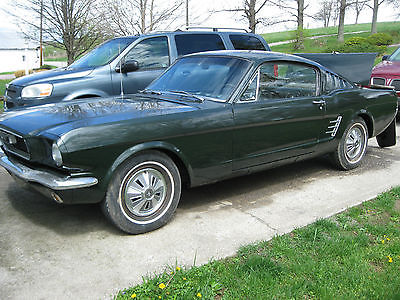 Ford : Mustang Fastback 1965 ford mustang fastback