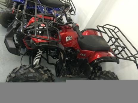 Coolster 125 Youth ATV