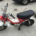 Yamaha : Other Yamaha Chappy LB80