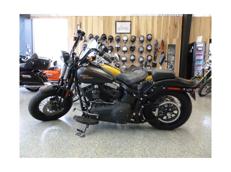 2008 Harley-Davidson FLSTSB - CROSS BONES