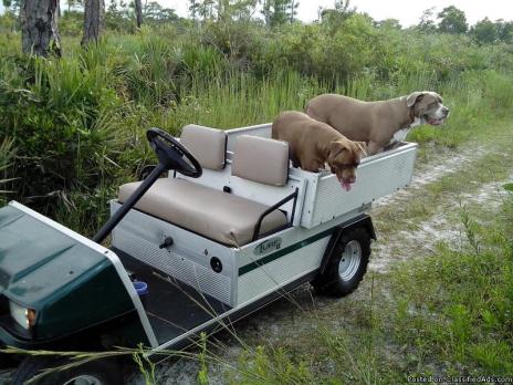 carryall golf cart.club car