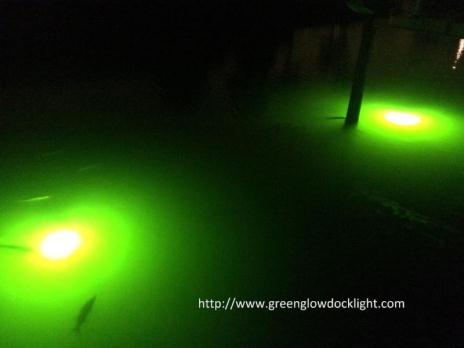 Fishing Light, Underwater Fish Light, Dock Light, Snook Light