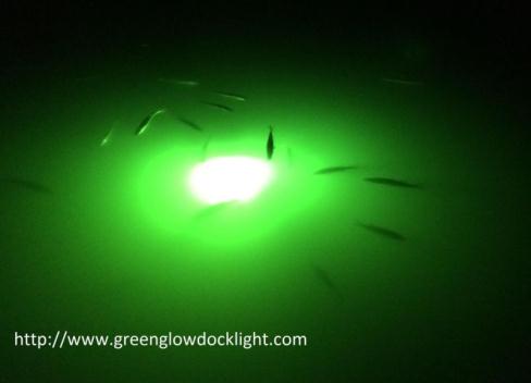 14,000 Lumens green underwater dock light, underwater fish lights.