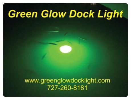 Underwater Green Fish Light  HID, 50' Cord, Dock Light, Snook light