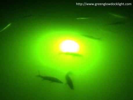 Green Glow Dock Light, Underwater Fish Lights, underwater dock light