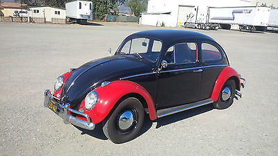 Volkswagen : Beetle - Classic chrome Beautiful restored 1963 VW Beetle
