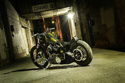Harley-Davidson : Softail Harley Davidson Softail