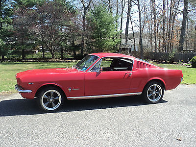 Ford : Mustang Fastback 1965 mustang fastback