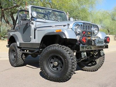 Jeep : CJ CJ5 1979 jeep cj 5 fully built 4.2 l i 6 full soft top offenhauser holly headers