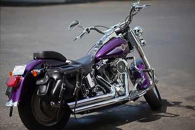 Harley-Davidson : Softail Rare Custom 2002 Harley Davidson Softtail Fat Boy