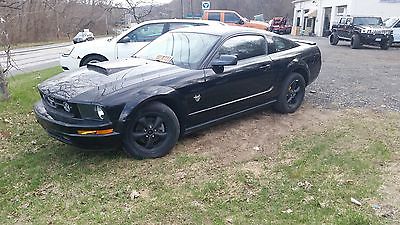 Ford : Mustang Base Coupe 2-Door 2009 ford mustang