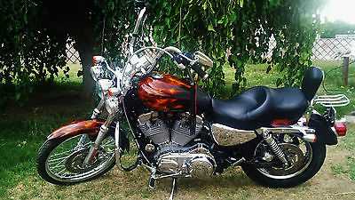 Harley-Davidson : Sportster 2005 harley davidson xlc sportster 1200 custom 6 250.00