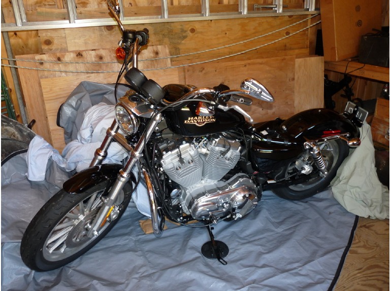 2010 Harley-Davidson Sportster 883 LOW