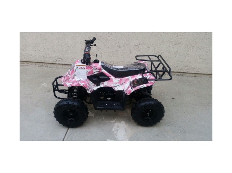 2015 Coolster Atv-110cc Kids Quad