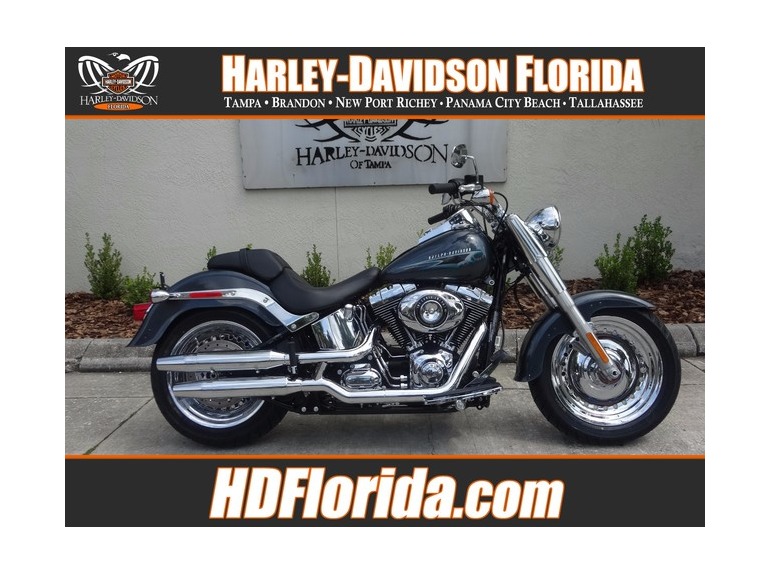 2015 Harley-Davidson FLSTF FAT BOY