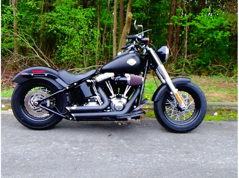 2013 Harley-Davidson FLS103 - SOFTAIL SLI