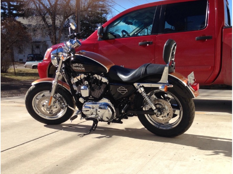 2014 Harley-Davidson Sportster 1200 CUSTOM