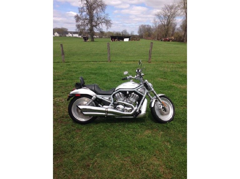 2002 Harley-Davidson V-Rod MUSCLE