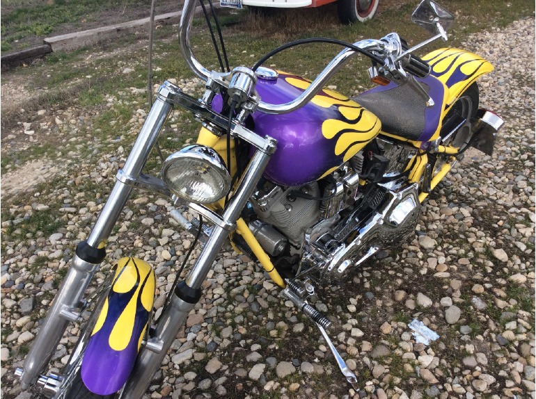 2002 Custom Chopper