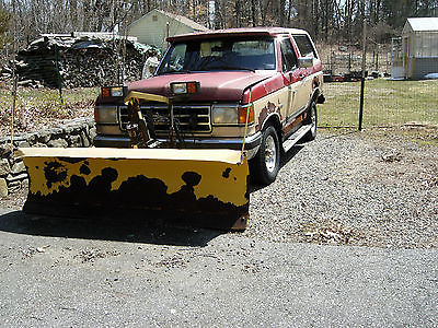 Ford : Bronco XLT 1991 ford bronco