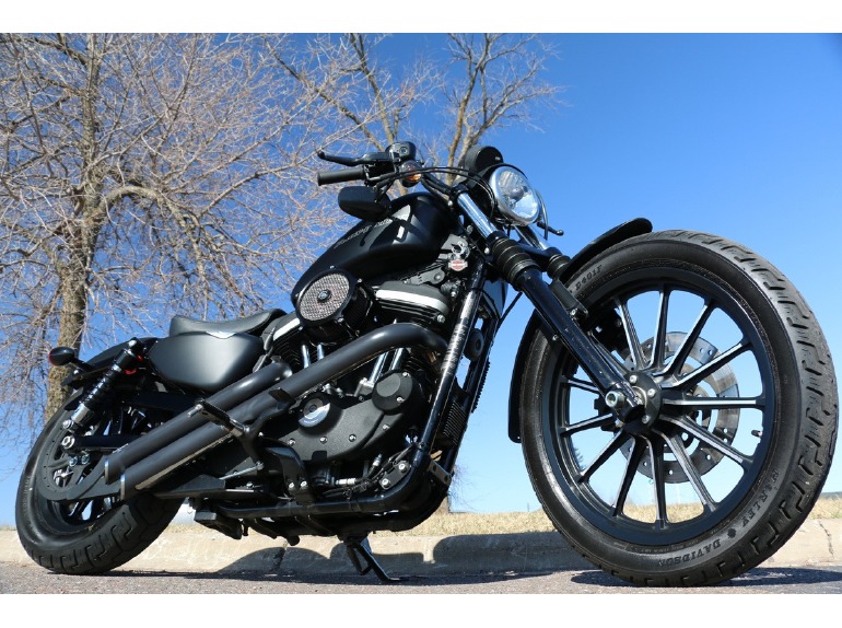 2010 Harley-Davidson XL883N Iron 883