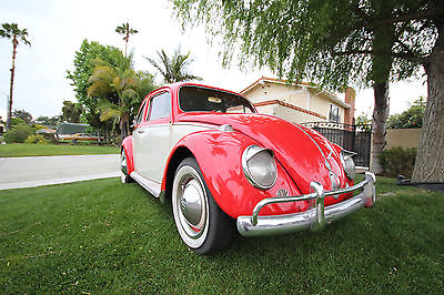 Volkswagen : Beetle - Classic Bug 1965 vw beetle