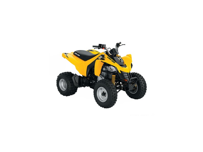 2013 Can-Am DS 250