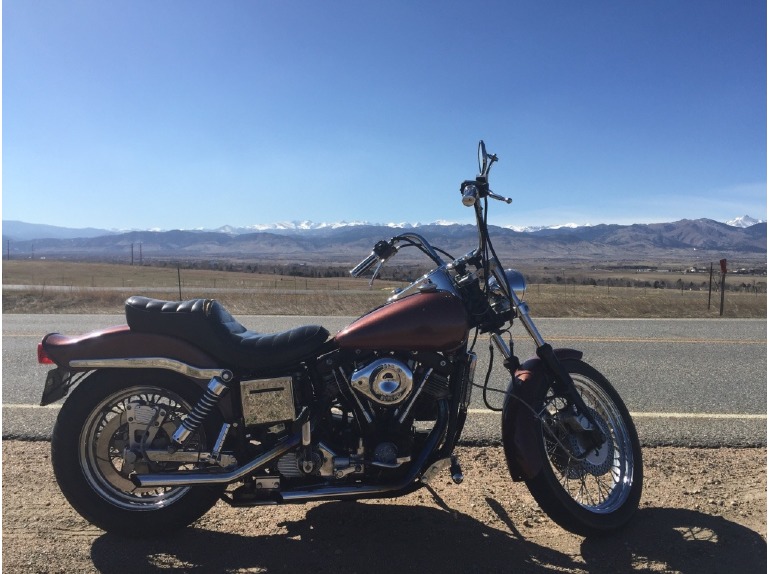 1981 Harley-Davidson Shovelhead