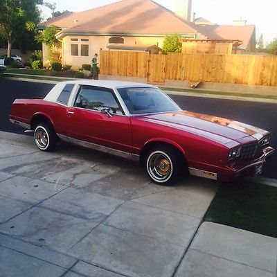 Chevrolet : Monte Carlo monte carlo 1981 monte carlo low rider on real gold daytons not cut up candy red