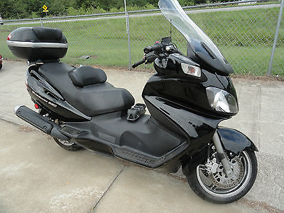 Other Makes 2009 bergman scooter