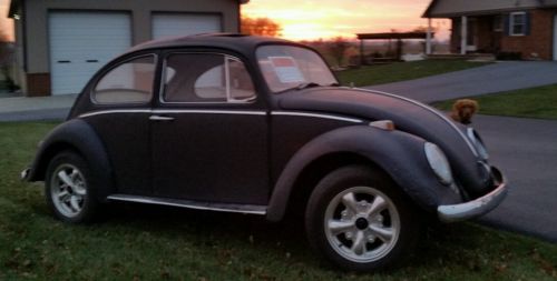 Volkswagen : Beetle - Classic coupe two door vw Volkswagen beetle bug