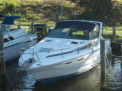 1989 Searay Sundancer 300