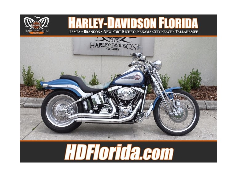2006 Harley-Davidson FXSTS SOFTAIL SPRINGER