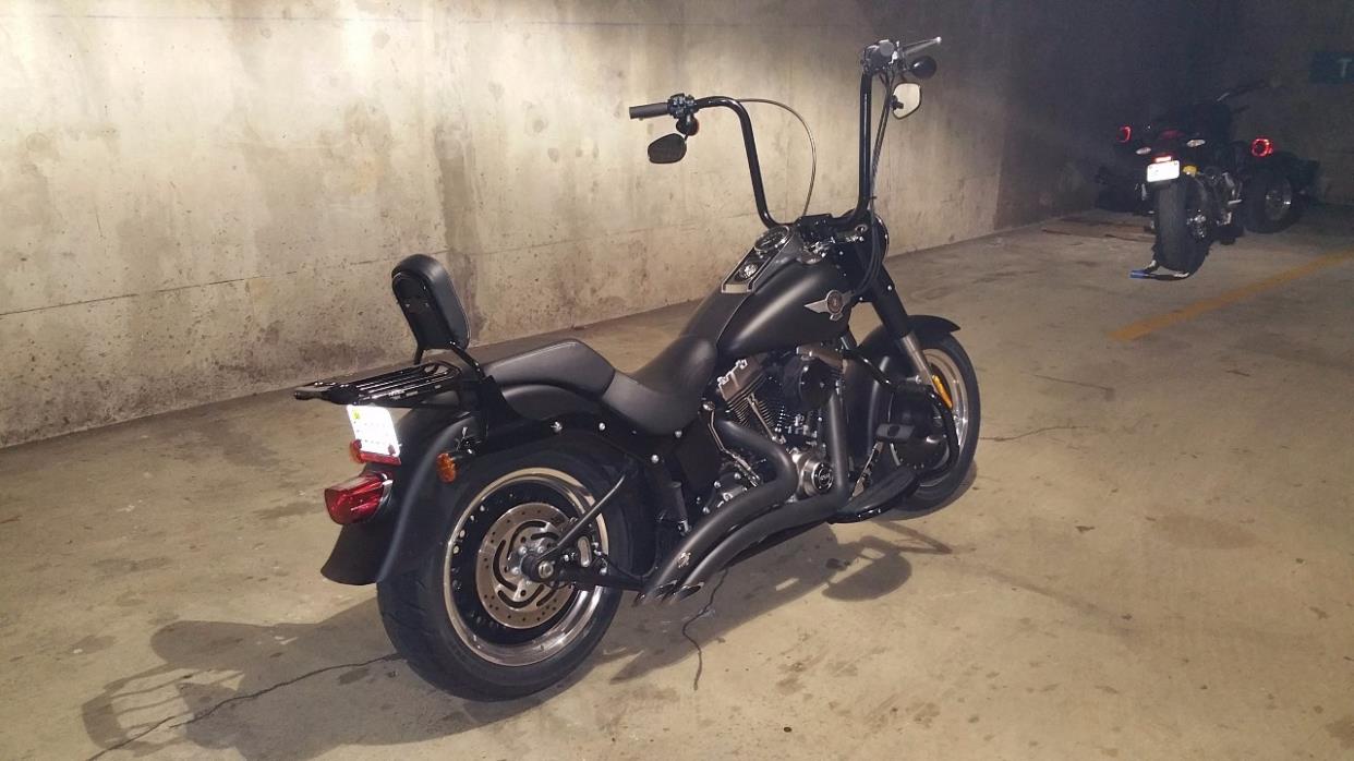 2015 Harley-Davidson FAT BOY LO