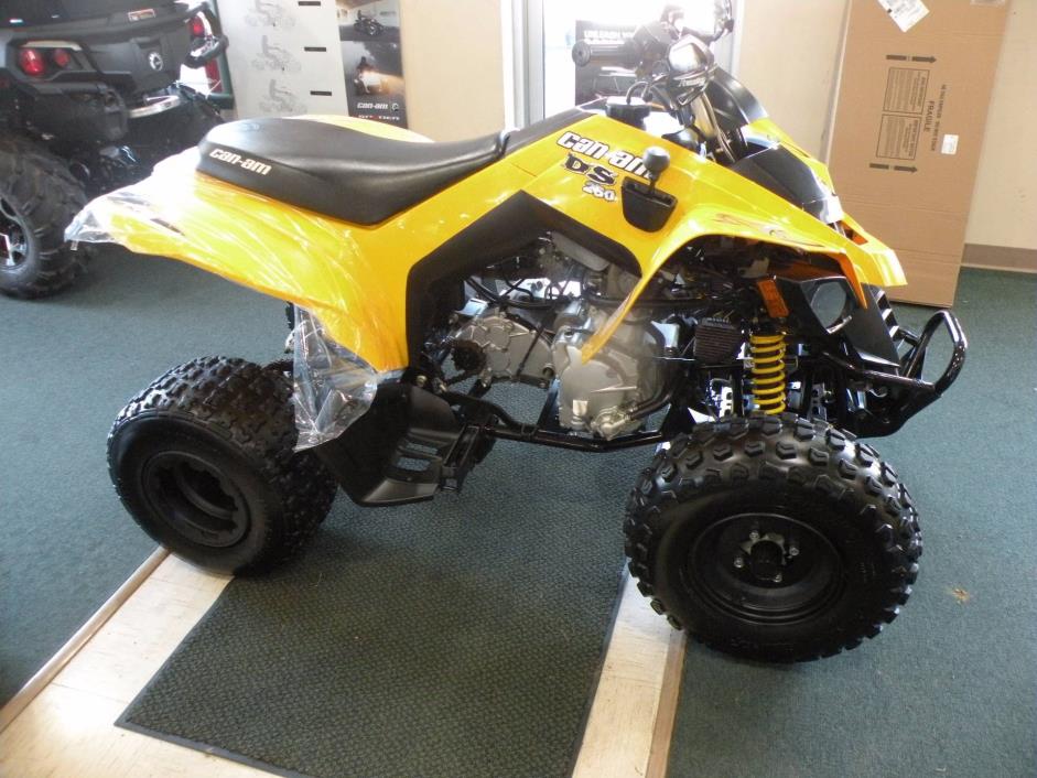 2008 Can-Am DS 250™