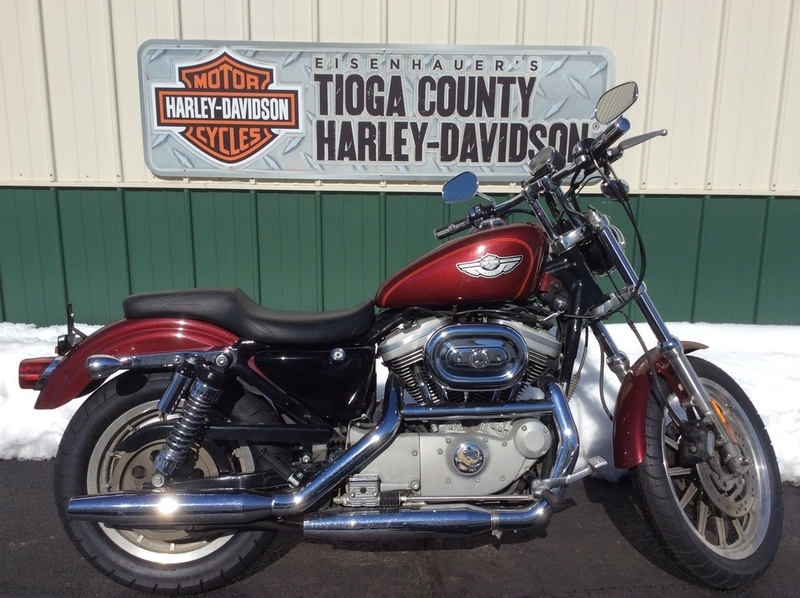 2003 Harley Davidson XL1200S