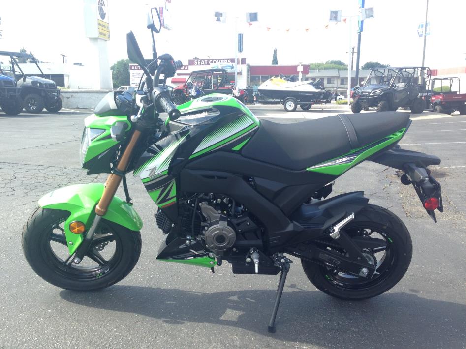 2017 Kawasaki Z125 PRO KRT Edition