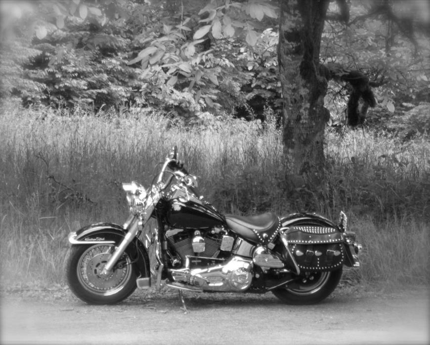 1997 Harley-Davidson HERITAGE SOFTAIL NOSTALGIA