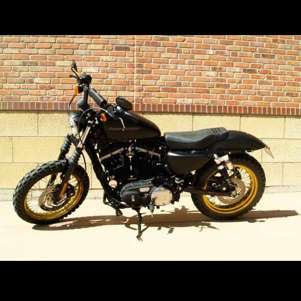 2011 Harley-Davidson XL883N