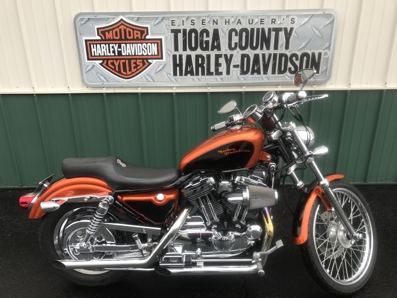 2001 Harley - Davidson 1200 custom
