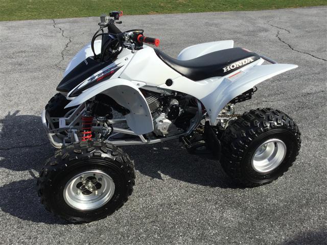 2008 Honda TRX 300EX