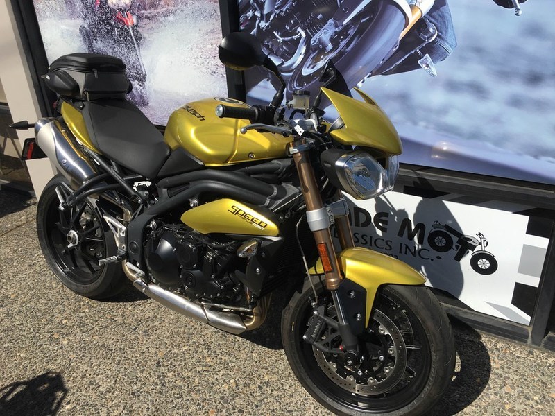 2013 Triumph Speed Triple Standard