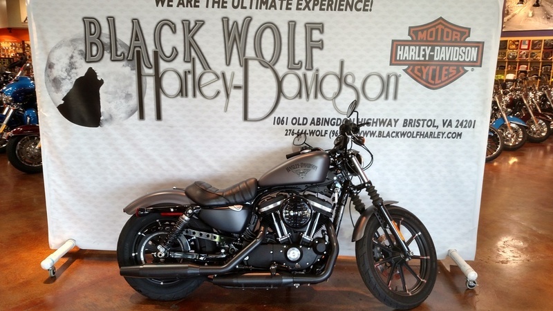 2016 Harley-Davidson XL883N - Sportster Iron 883