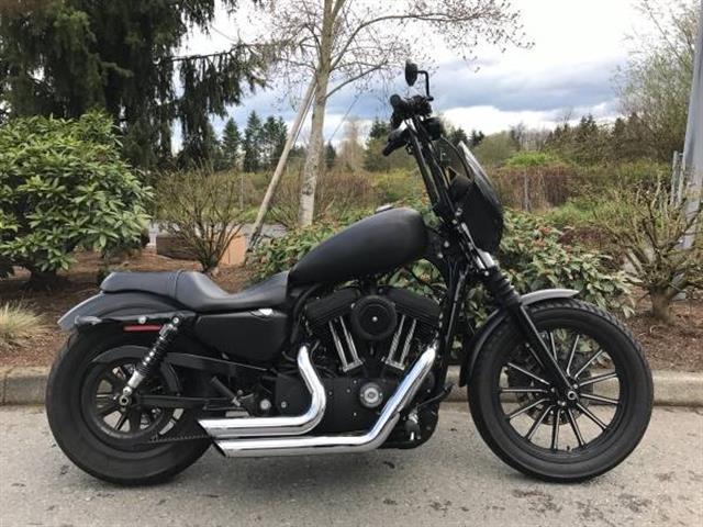 2013 Harley XL883N