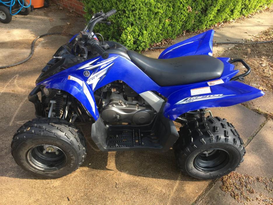 2009 Yamaha RAPTOR 90