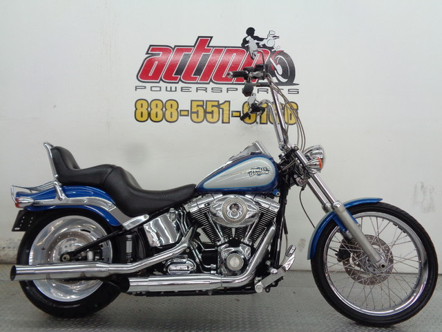 2010 Harley Davidson Softail Custom