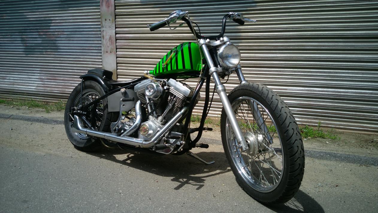 2009 Harley-Davidson Custom Evo Bobber