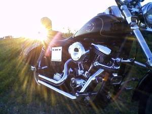 1996 Harley-Davidson DYNA